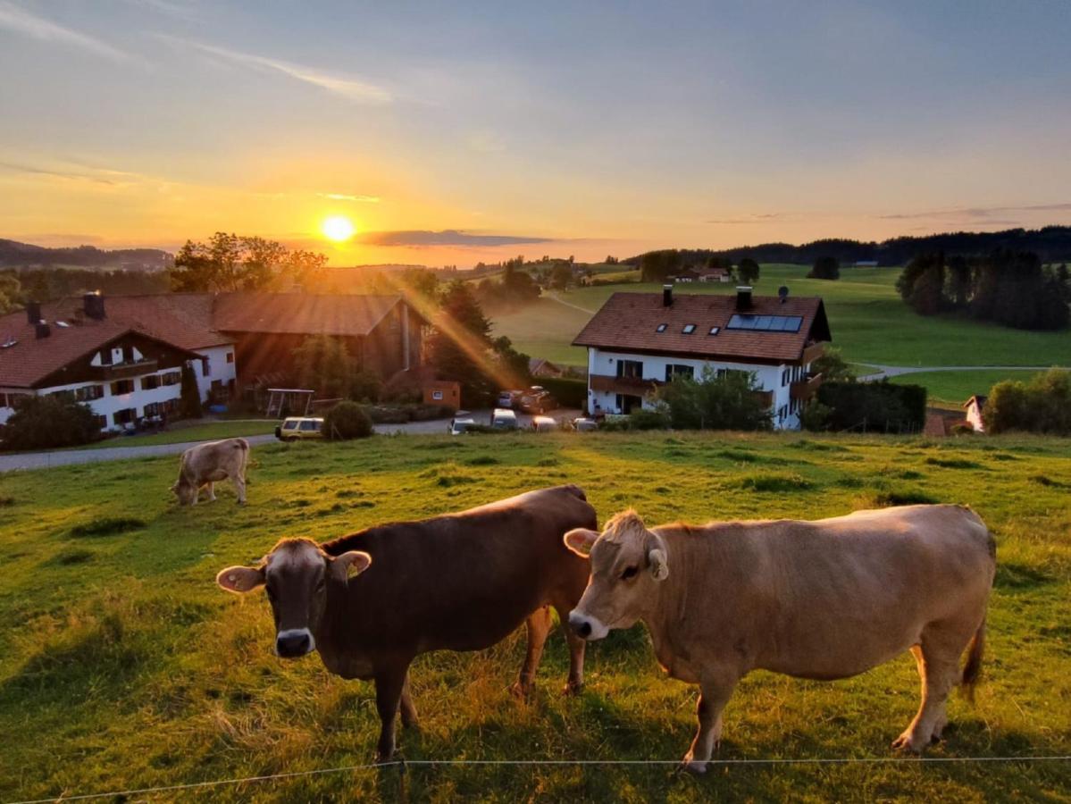 Ferienhof Hefele Daire Hopferau Dış mekan fotoğraf
